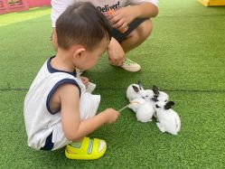 -萌宠亲子动物乐园(槐房万达店)