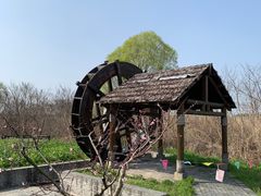 -同里国家湿地公园