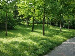 -北极寺公园