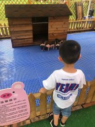 -萌宠亲子动物乐园(槐房万达店)