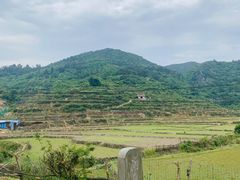 -大姆山草场