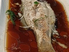 -云中小雅