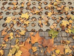 -联勤保障部队第九二四医院