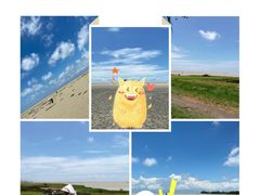 -北海金海湾红树林生态旅游区