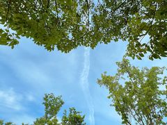 -白鹭湾湿地公园