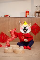 -玛瑞莎·儿童·亲子摄影(越秀店)