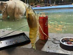 -光头佬钓虾场·烧烤·聚餐·亲子(金沙洲店)