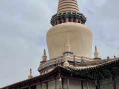 -张掖大佛寺景区