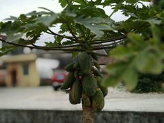 -江门古兜温泉小镇