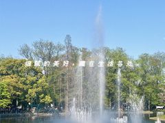 -上海共青森林公园