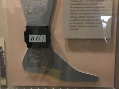 -阿尔卡特拉斯岛