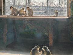 -大连森林动物园