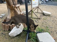 -DGE季风钓虾营地·团建·聚会