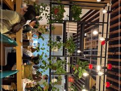 -三猫黑鱼花(南大店)