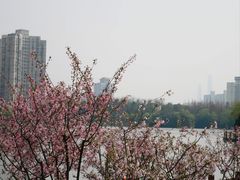 -黄兴公园