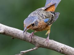 -苏州河梦清园环保主题公园