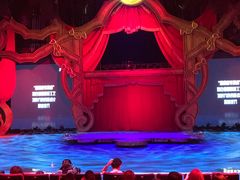 -珠海横琴长隆《卡卡虎奇遇记》