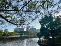 -深圳龙潭公园
