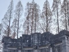 -音乐台
