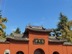 -洛阳白马寺