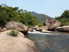 -海南热带雨林国家公园吊罗山景区