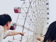 -琴岛之星摩天轮