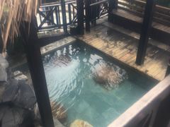 -崇阳三特浪口温泉