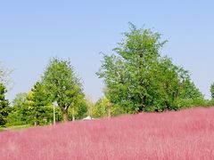 -汉长安城未央宫国家考古遗址公园