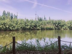 -田园东方蜜桃村的田野营地