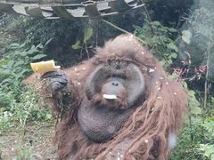 -石家庄市动物园