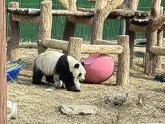 -沈阳森林动物园