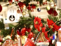 -宜家·瑞典风味餐厅(北京西红门店)