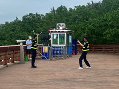 -宝安西湾红树林湿地公园