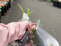 -循礼门鲜花花市(武汉循礼门店)