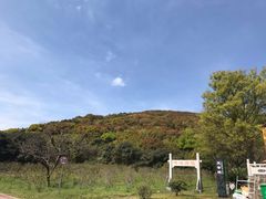 -龙寺生态园
