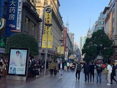 -新雅粤菜馆(南京东路店)