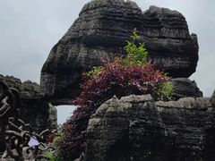 -梭布垭石林景区