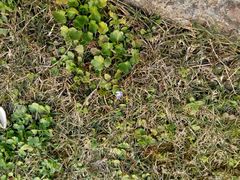 -昆山城市生态森林公园