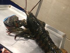 -高佳庄·舟山海鲜(海景旗舰店)