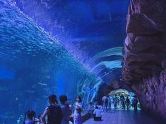 -华夏文旅西安度假区