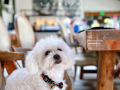 -喜洲吧·江畔老船厂·庭院餐厅(喜临院店)