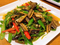 -三猫黑鱼花(南大店)