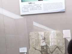 -房山世界地质公园博物馆
