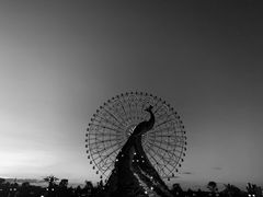 -七彩云南欢乐世界