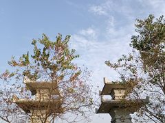-东湖落雁景区