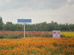 -江苏三台山国家森林公园