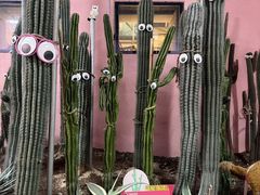 -正佳雨林生态植物园