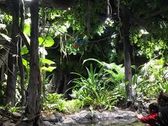 -江和美海洋公园