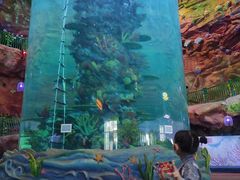 -青岛嘉年华主题乐园