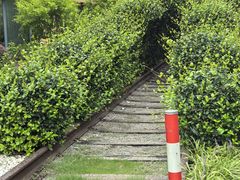 -同济大学(沪西校区)